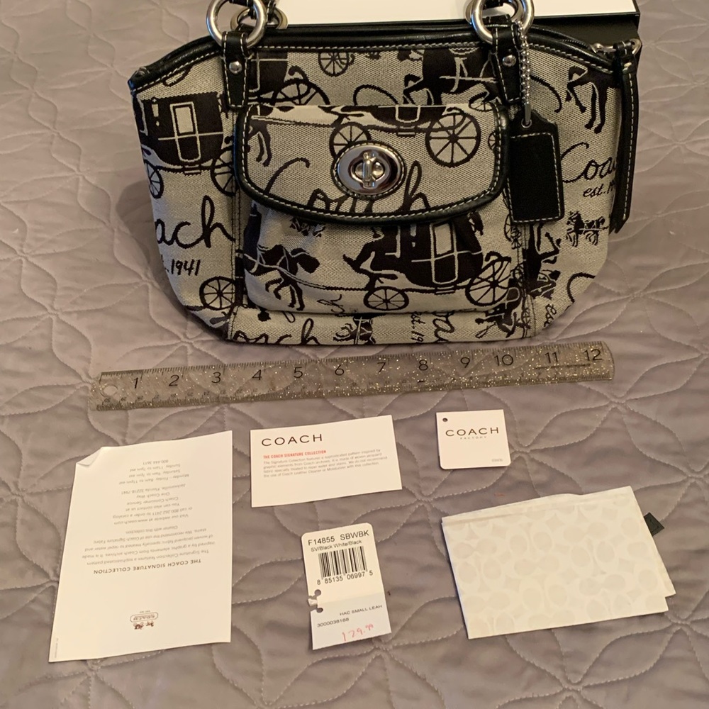 Coach horse carriage